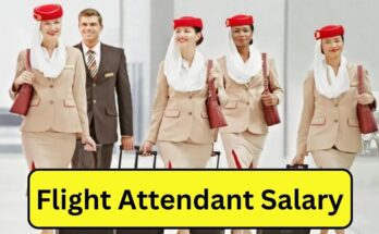 Flight Attendant Salary
