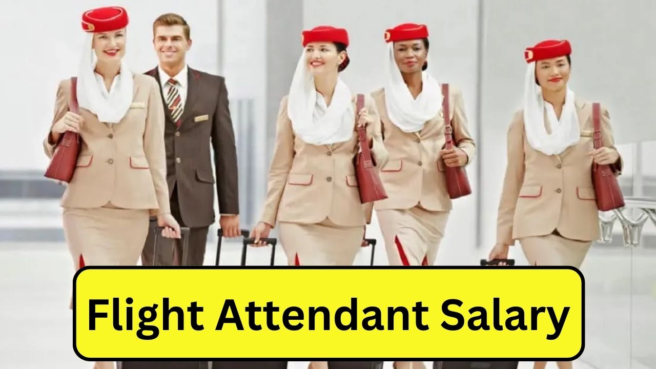 Flight Attendant Salary in USA [Average] Per Hour